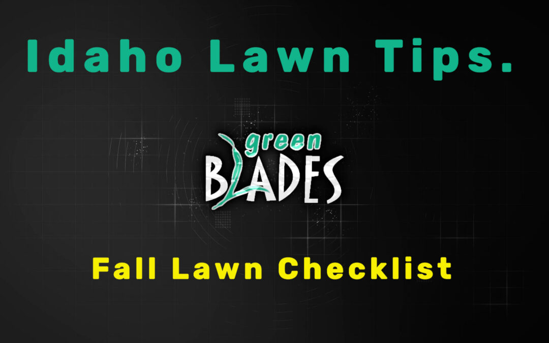 Checklist on What to Do to your Lawn during Fall