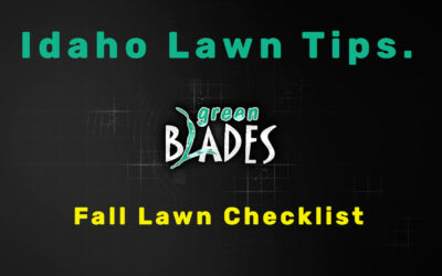 Fall Lawn Checklist