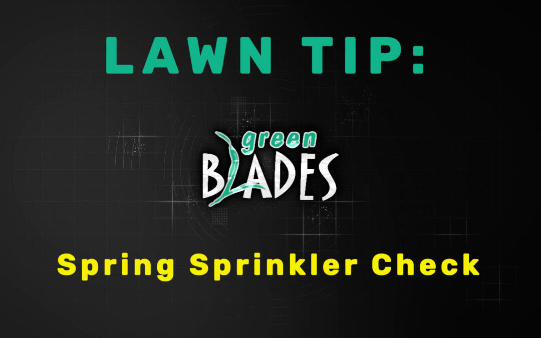 Spring Lawn Tip: Spring Sprinkler Check