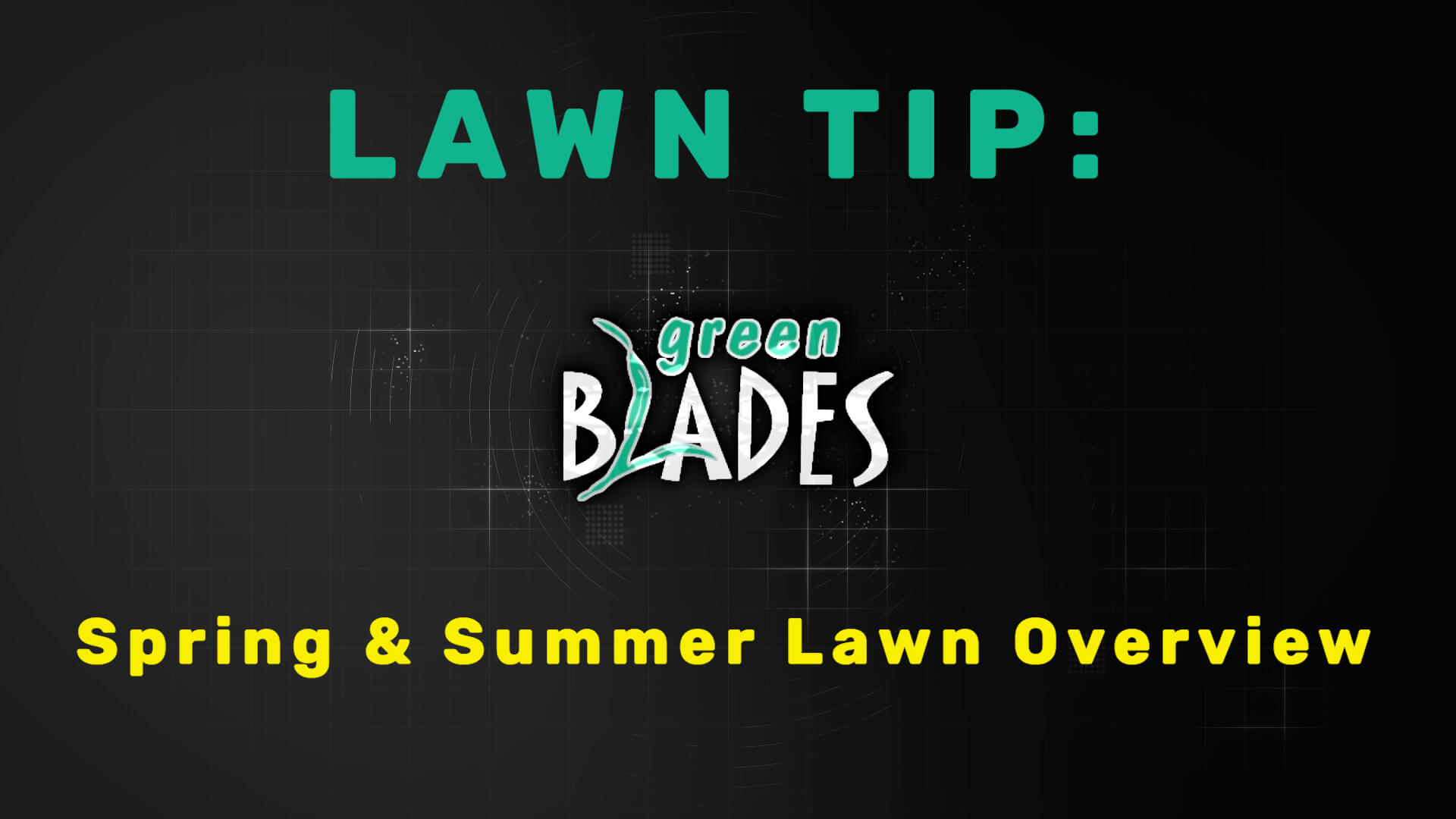 Spring & Summer Lawn Overview | Green Blades Lawn Maintenance