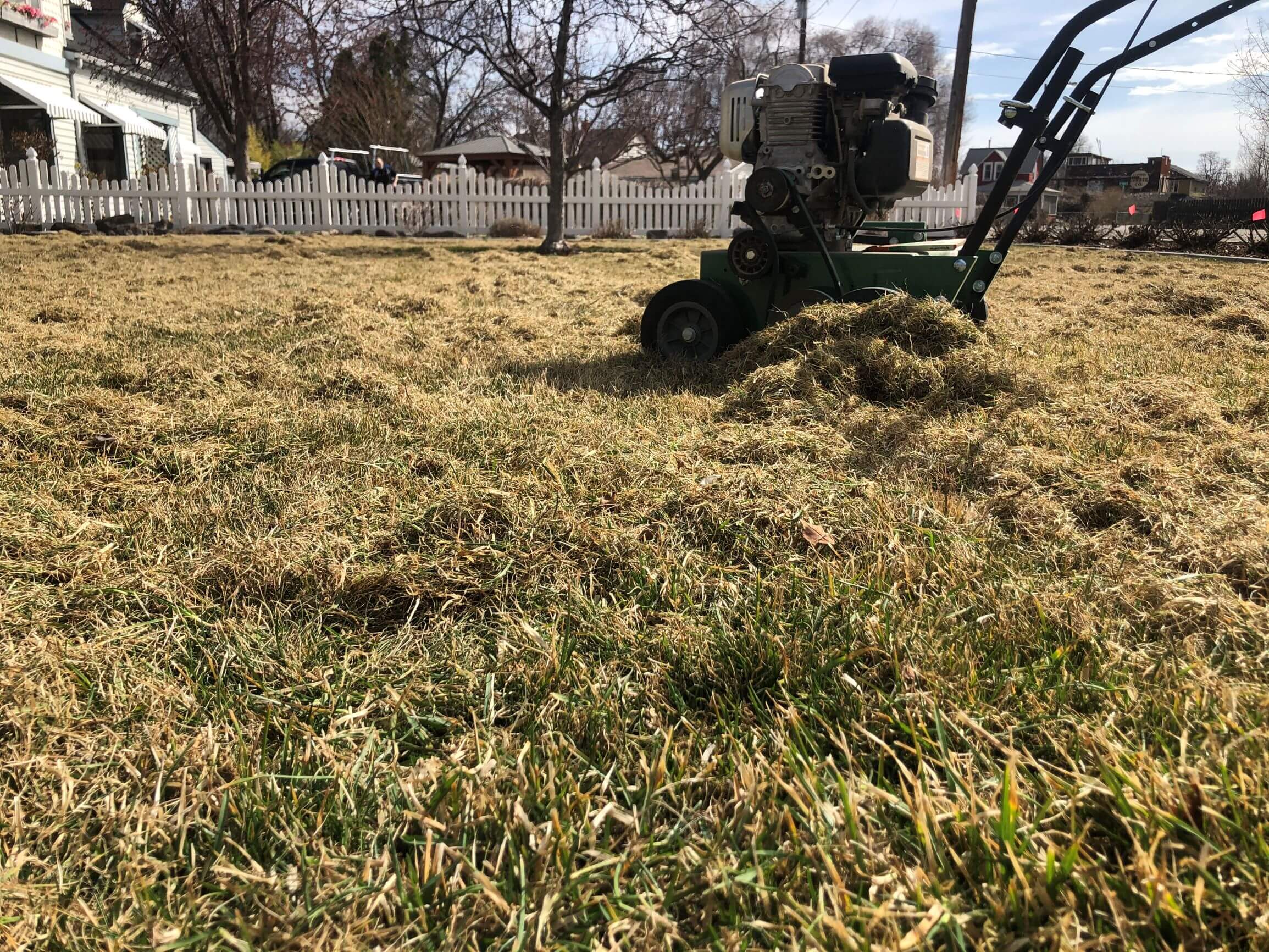 The Dos & Don'ts of Dethatching a Lawn in Florida