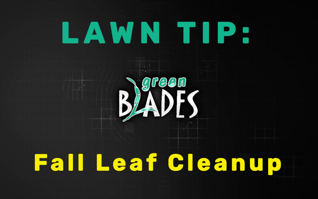 Idaho Lawn Care Tip for Winter - Fall Leaf Cleanup