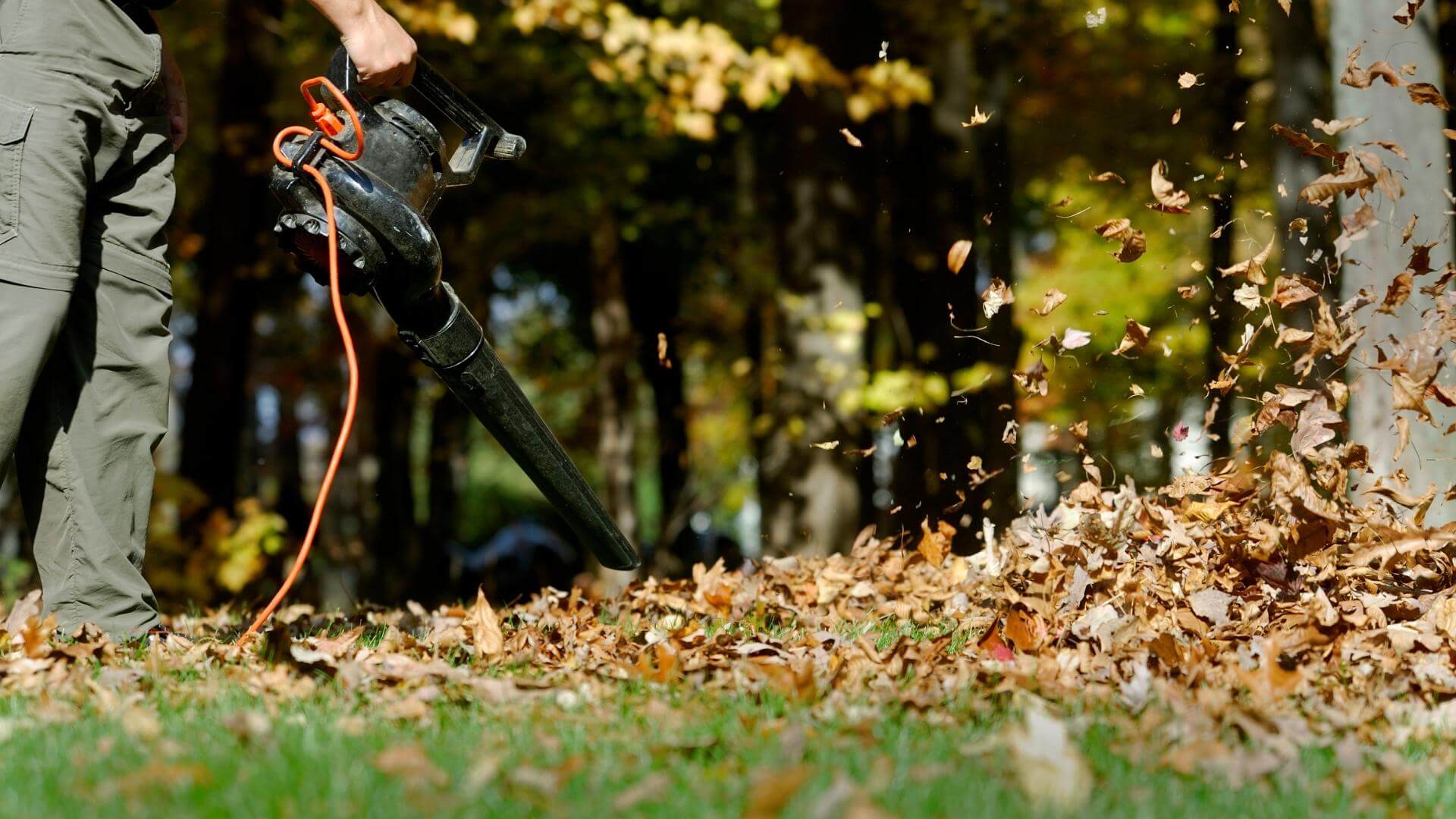 Walkway Blow Off | Green Blades Lawn Maintenance | Nampa, Idaho