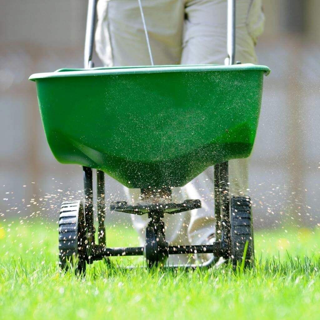 Lawn Care Green Blades Lawn Maintenance Nampa, Idaho