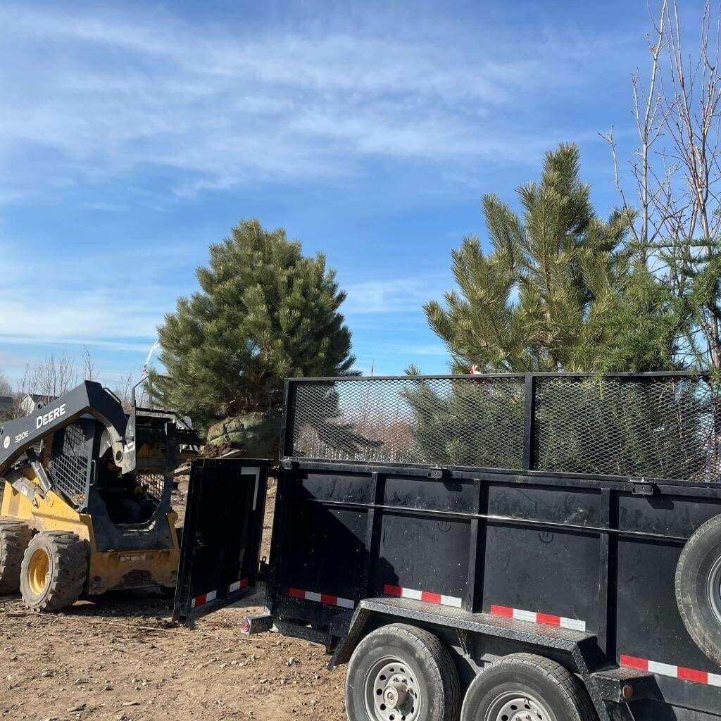 Lawn Care Green Blades Lawn Maintenance Nampa, Idaho