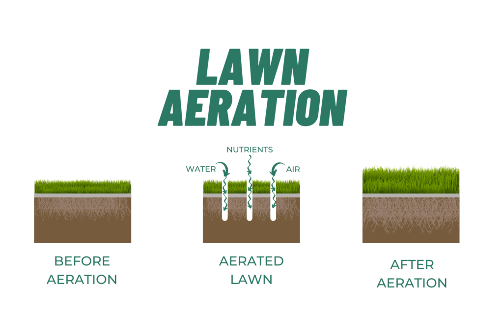 Illustration for Lawn Aeration Process