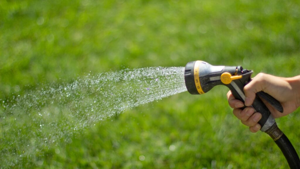 Watering The Lawn After Aerating Lawn