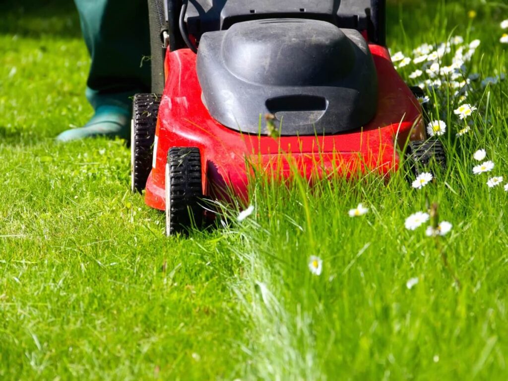 Summer Lawn Care - Lawn Mowing in Nampa, Idaho